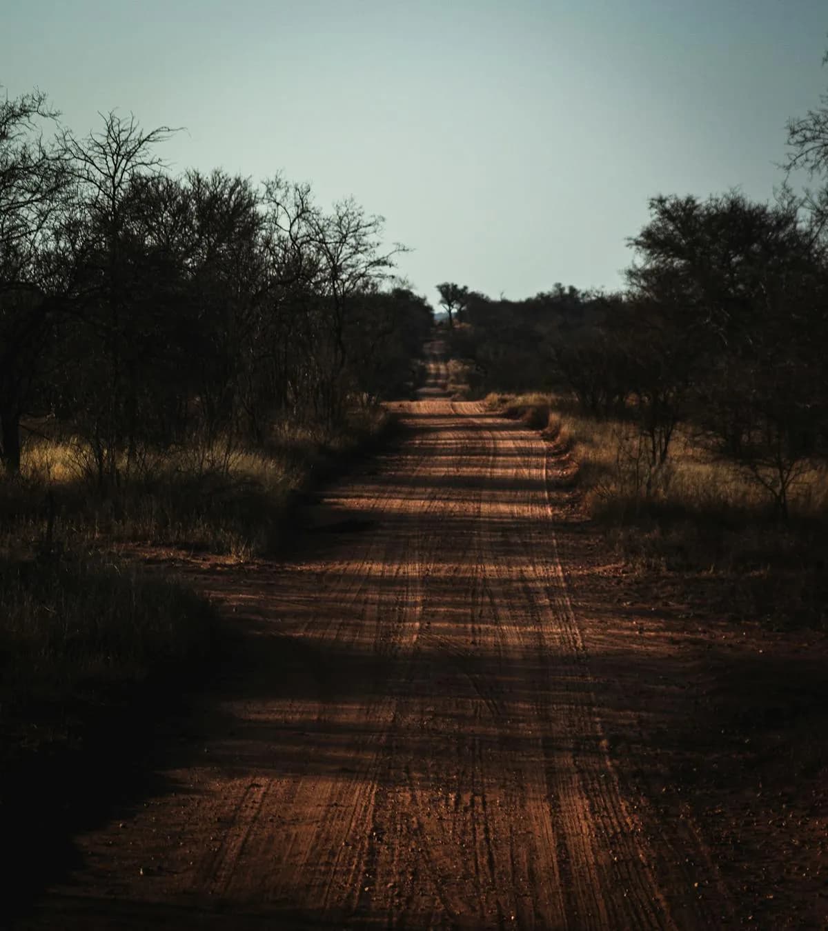 Remote outback dirt road through dry bushland in the Territory